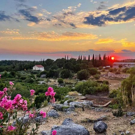 Le Petit 2 Daire Čilipi Dış mekan fotoğraf