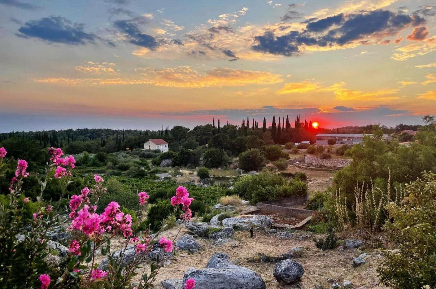 Le Petit 2 Daire Čilipi Dış mekan fotoğraf